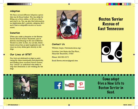 Illustrations: Trifold Pamphlet