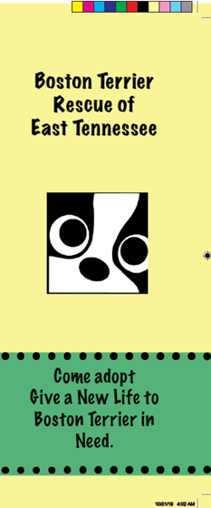 Illustrations: Trifold Pamphlet