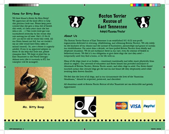 Illustrations: Trifold Pamphlet